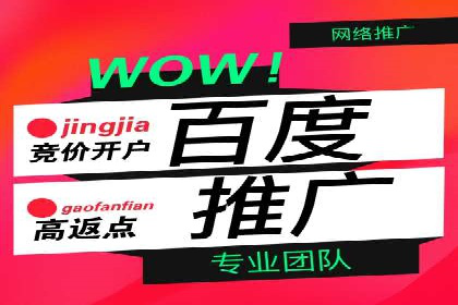 不同领域充值返点模式的差异与共性